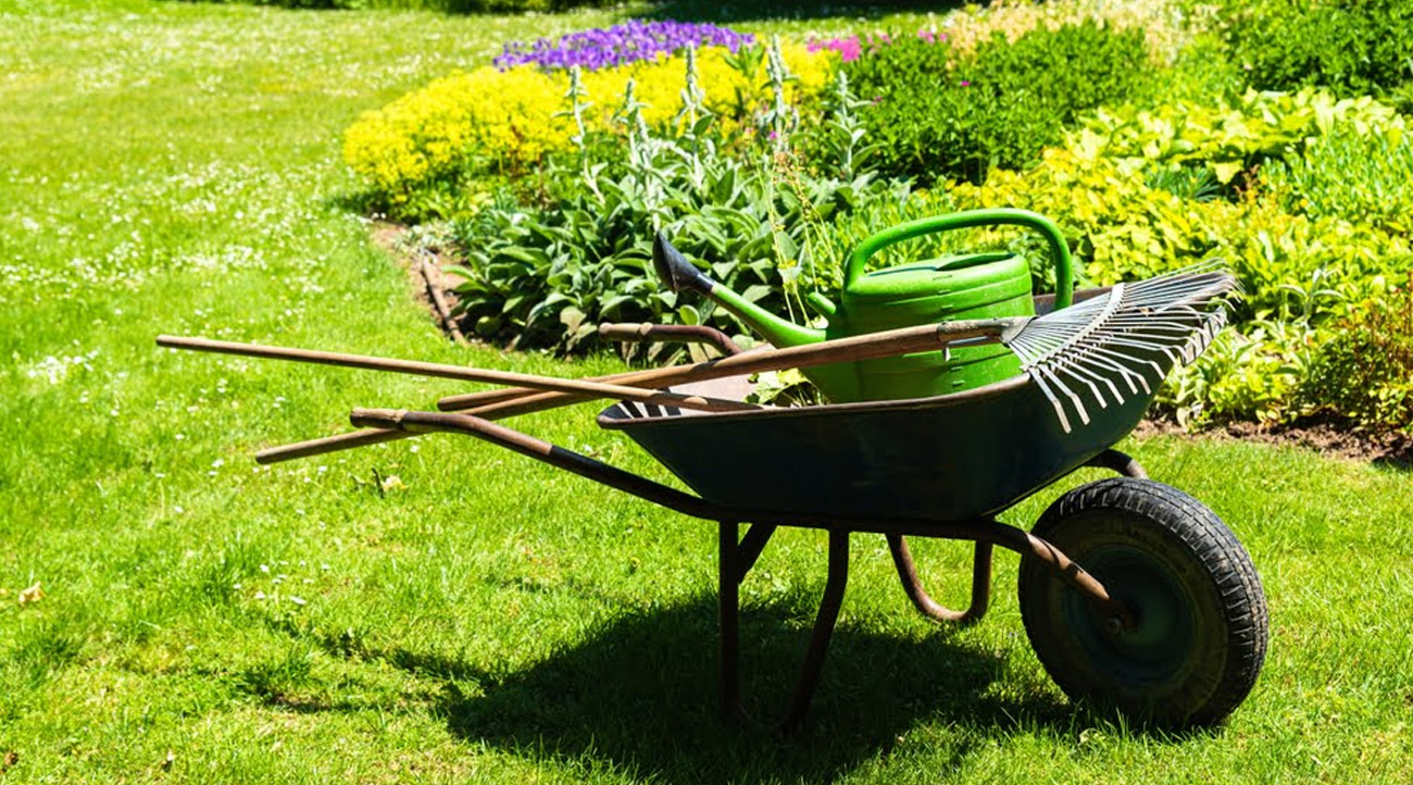 garden-maintenance-n1